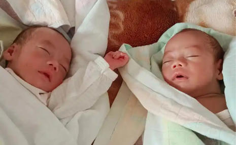 铁力代生宝宝龙凤胎
